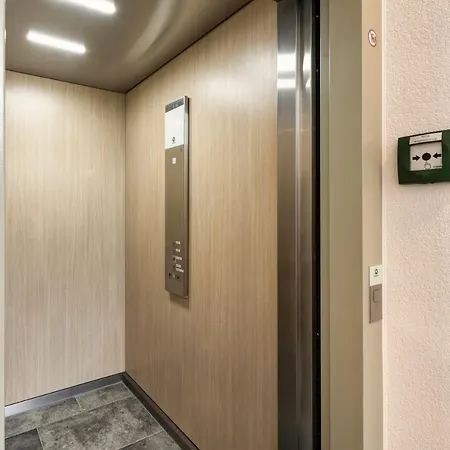 Moose Sankt Anton am Arlberg