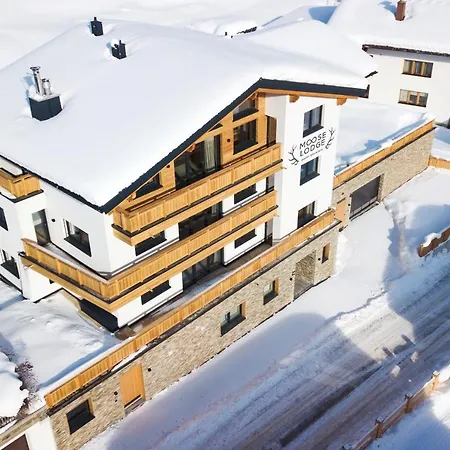 Moose St Anton am Arlberg