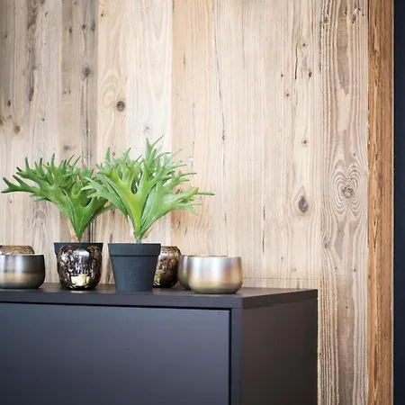 Appartement Moose Sankt Anton am Arlberg