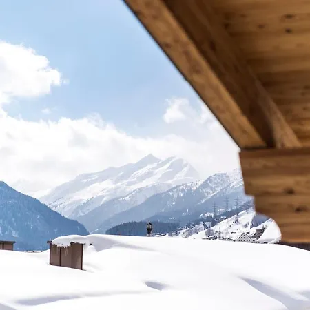 Moose St Anton am Arlberg